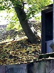 15 pictures - Sunlight Streams