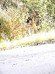 15 pictures - Dark haired babe squats to piss on a road