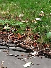 15 pictures - Brunette leaves a trail of piss on the ground