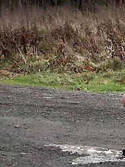 15 pictures - Pregnant brunette pisses on the ground outside