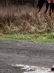 15 pictures - Pregnant brunette pisses on the ground outside