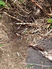 15 pictures - Brunette pisses outside on some steps