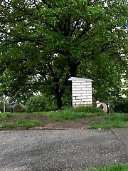 15 pictures - Sexy blonde pulls down her denims and pees