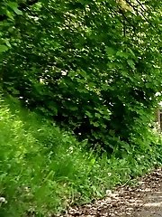 15 pictures - Peeing on Mud