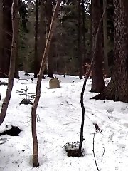 15 pictures - Snowy Stream