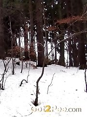 15 pictures - Snowy Stream