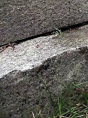 15 pictures - Windy Steps