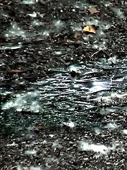 15 pictures - Wipe Clean
