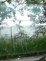 15 pictures - Reflection