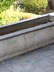 15 pictures - Grey Corner