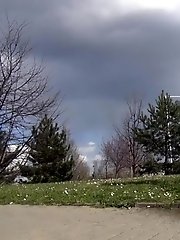 15 pictures - Redhead Sprinkler