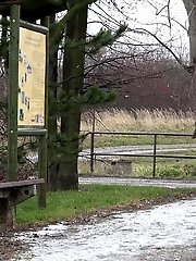 15 pictures - Sexy girl in wet look hotpants pisses in public