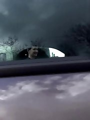 15 pictures - Shy teen pisses behind a parked car on the grass