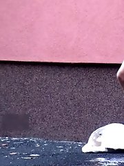 15 pictures - Neighbourhood