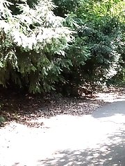15 pictures - Cyclist Passes By