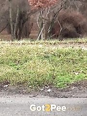 15 pictures - Rail Cross