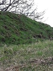 15 pictures - Looking Down