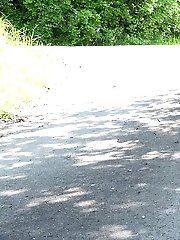 15 pictures - Gorgeous dark haired Rachel pissing in public