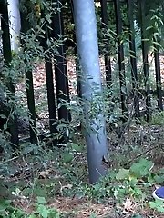 15 pictures - Dark haired babe pisses on a path