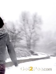 15 pictures - Blizzard