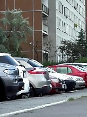 15 pictures - White Van Man