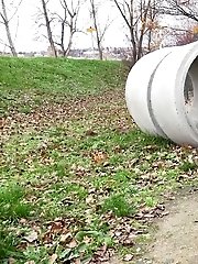 15 pictures - Sweet Cat Crouches