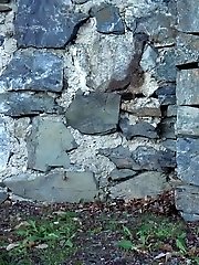 15 pictures - Blonde in Coral