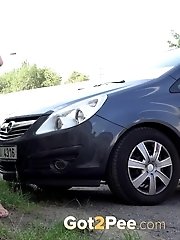 15 pictures - By The Cars