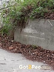 15 pictures - Barrier