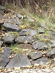 15 pictures - Sticks and Stones