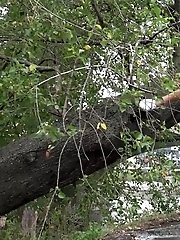 15 pictures - Splash By The River