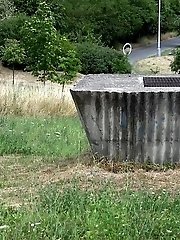 15 pictures - Brunette girl sprays her golden pee onto the grass