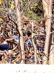 15 pictures - Pretty blonde in boots pisses on the ground