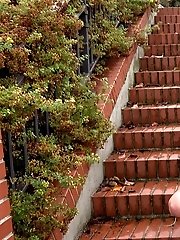 15 pictures - Pretty blonde squats on steps outside to piss