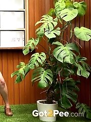 15 pictures - Brunette babe enjoys a pee standing outside