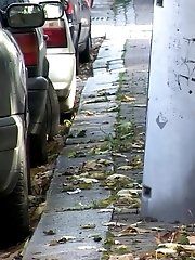 15 pictures - Autumn