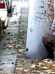 15 pictures - Autumn