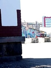 15 pictures - Sunny day
