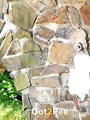 15 pictures - One Legged Waterfall