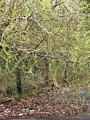 15 pictures - Pee Grand Slam