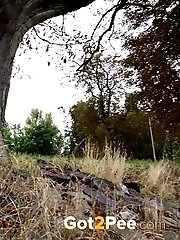 15 pictures - Windy Steps