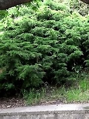 15 pictures - Pee Stop