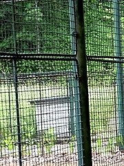 15 pictures - Tip-Toed Pee