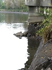 15 pictures - No Idea