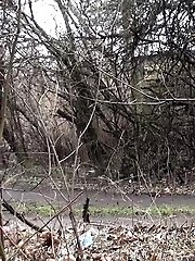 15 pictures - Pretty blonde sprays her pee like a sprinkler