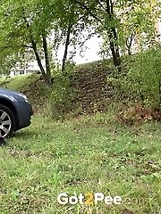 15 pictures - Exotic babe squats behind parked car to piss