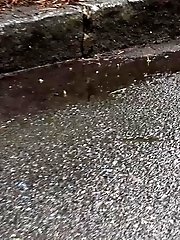 15 pictures - Blonde squats to piss next to a parked car