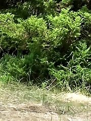 15 pictures - Meadow
