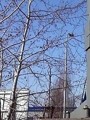 15 pictures - On Display