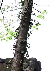 15 pictures - Monochrome